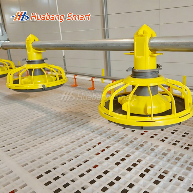 Industrial Chicken Feeder